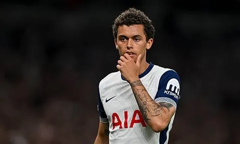 Brennan Johnson: Tottenham không thể coi thường Man United