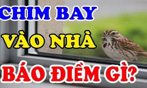 5 con vật Đệ Tử Thần Tài: Bước chân vào nhà nào nhà đó cực kỳ giàu có