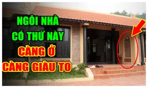Tổ tiện nhắc nhở: Trong nhà 3 thứ này càng cứng thì càng giàu có. Đó là gì?