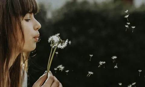 5 cách sống đơn giản để có một cuộc đời viên mãn