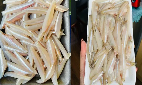 Loại cá thịt chắc ngọt, canxi cao gấp 25 lần cá hồi, giá rẻ lại được đánh bắt tự nhiên