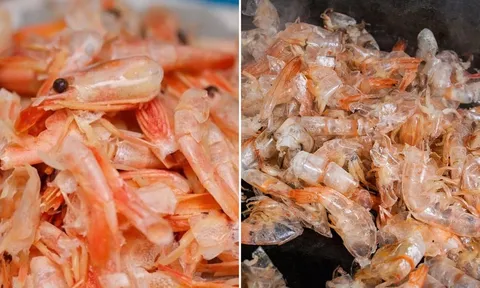 Vỏ tôm có chất gì, có nhiều canxi không?