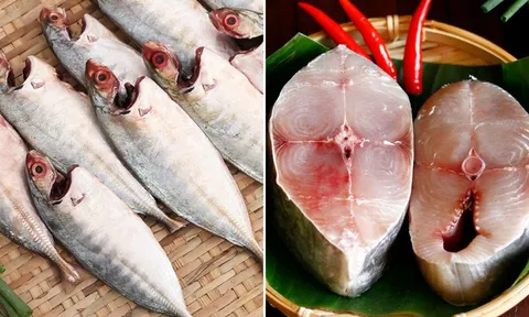 Ai không nên ăn cá? Cá bổ dưỡng đến cũng không được động đũa