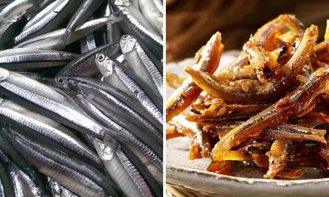 Loại cá "bé tý" nhưng canxi gấp 25 lần cá hồi: Ở Việt Nam Giá rẻ bèo bán đầy ngoài chợ