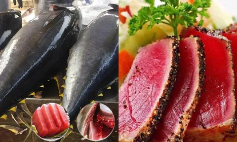 Nga chi triệu đô nhập cá ngừ Việt: Giàu vitamin D, tốt cho tim và vóc dáng