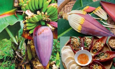 5 công dụng bất ngờ của Hoa Chuối, món ăn rẻ tiền giàu dinh dưỡng, nam nữ đều hưởng lợi
