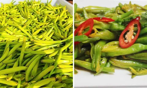 Loại rau "vàng trong não", giúp cải thiện trí nhớ, thanh lọc mạch máu tốt ngang "tổ yến": Việt Nam có rất nhiều