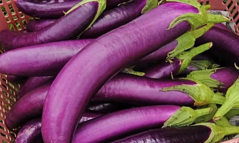 7 nhóm người không nên ăn cà tím