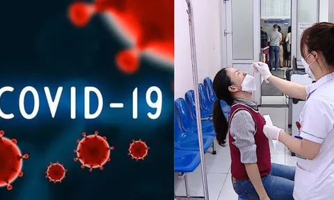 Bộ Y tế chỉ đạo Hỏa Tốc phòng chống dịch bệnh Covid-19, Sốt Xuất huyết