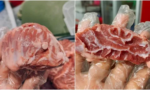 "Kho báu" giấu trong con lợn: Mỗi con chỉ có vài lạng, muốn mua phải dậy từ 5 giờ sáng