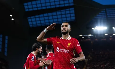 Liverpool cân nhắc bán Cody Gakpo cho Bayern