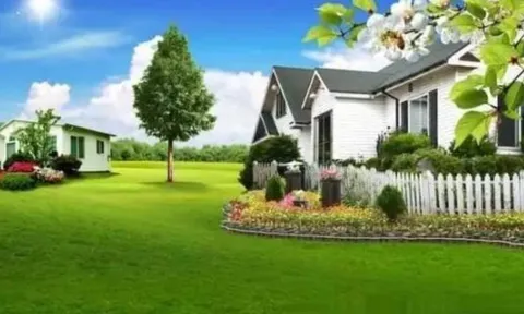 4 dấu hiệu nhận biết ngôi nhà tốt có thể nuôi dưỡng người thành tài
