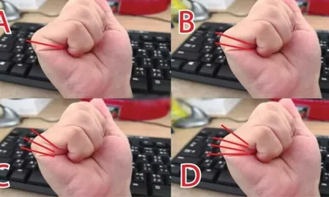 Nắm chặt bàn tay lại mà đếm xem: Ra đúng số này Lộc nhiều vô tận