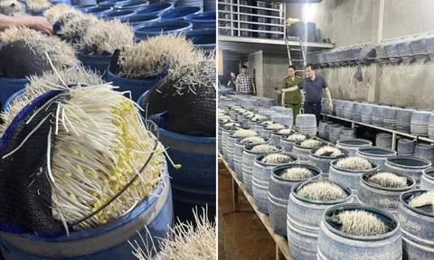 Thêm 2 cơ sở sản xuất giá đỗ ngậm hóa chất bị phát hiện: Quy trình làm ra hàng tấn sản phẩm mỗi ngày