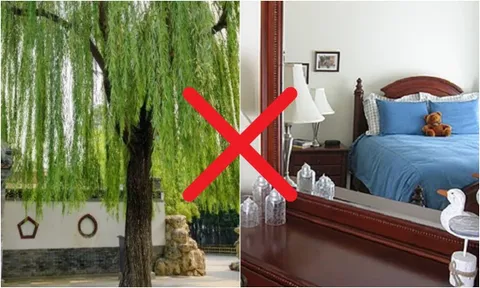 3 không trồng trước cửa, 4 không đặt lên giường cả người và của đều lao đao: Đó là gì?