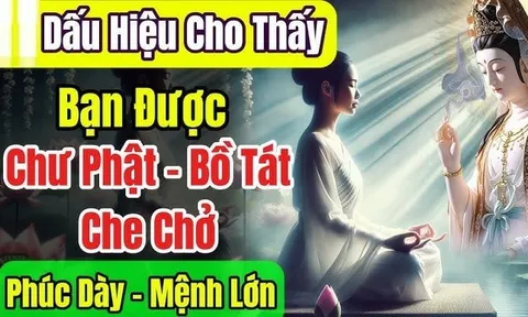 4 điểm trên người là Bồ Tát đánh dấu, mang phúc mang phần cho cả gia đình