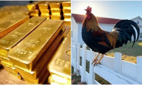 Gà gáy sang canh ngày 1/6: 3 tuổi Âm Phù Dương Trợ, Vận Khí Tăng Cao, Tiền về như nước