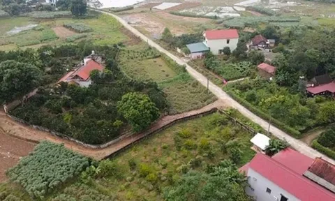 4 khoản phí bắt buộc phải nộp khi chuyển đổi đất vườn lên đất thổ cư năm 2025