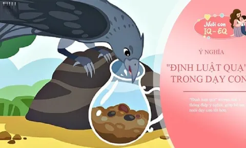 Con cái ương bướng hỗn hào: Áp dụng ngay 'Luật Quạ' này dạy con văn minh, đúng cách