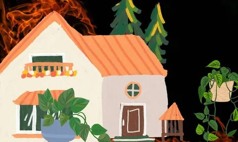 Có nên trồng cây trầu bà trong nhà? Vị trí nào tốt nhất để trầu bà thu hút tài lộc?