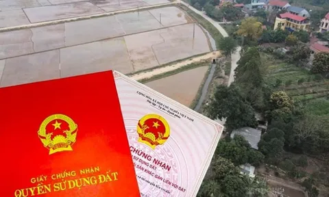 Trường hợp người dân sẽ bị cơ quan Nhà nước hủy Sổ đỏ đã cấp năm 2025