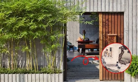 3 thứ không đặt trước cửa, không trồng 3 cây ngoài sân: Là cây gì, thứ gì?