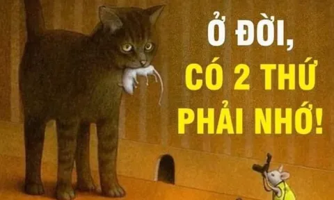 Cuộc đời chỉ có 2 thứ thật sự thuộc về bạn: Có người đến cuối đời mới nhận ra đã quá muộn