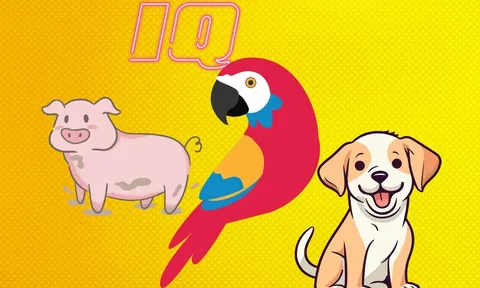 Lợn, chó hay vẹt thông minh hơn? Nhiều người sẽ vô cùng bất ngờ về trí thông minh của 3 loài vật này