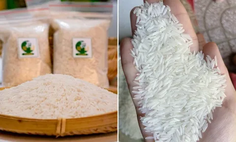 Mẹo nhận biết gạo ST25 chuẩn, nhìn đúng điểm này để không mua phải hàng giả