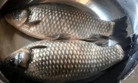 Thịt lợn không mua thịt cổ, cá không mua cá diếc: vì sao các cụ lại dạy như vậy?