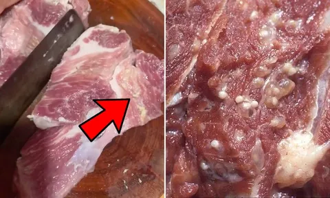 Cách nhận biết thịt lợn bệnh: Đi chợ hay siêu thị, thấy thịt lợn có đặc điểm này, tuyệt đối không mua