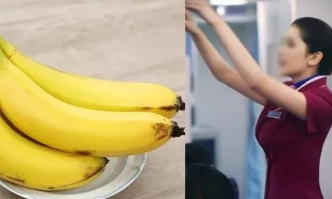 Tại sao tiếp viên hàng không thường mang theo một quả chuối khi lên máy bay? Họ ăn hay có mục đích gì khác?