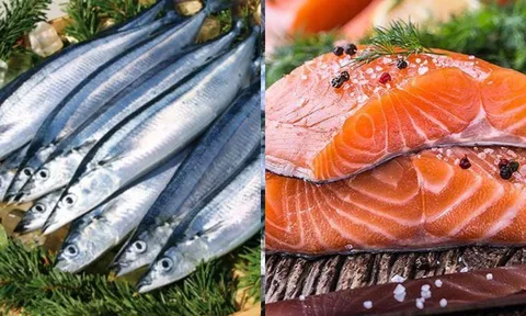 Loại cá là "vua omega-3", cá hồi chỉ đứng hạng 2: Bán đầy chợ Việt giá cực rẻ