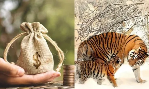 3 con giáp càng làm càng giàu, ở hiền gặp lành: Cuối năm 2025 tắm trong cơn mưa tiền khiến mọi người trầm trồ