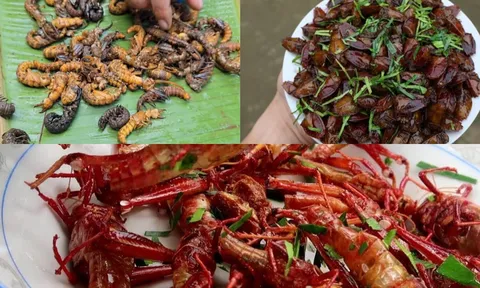 “Sợ xanh mặt” với 3 đặc sản miền Bắc: Nhìn rùng mình nhưng ăn là mê