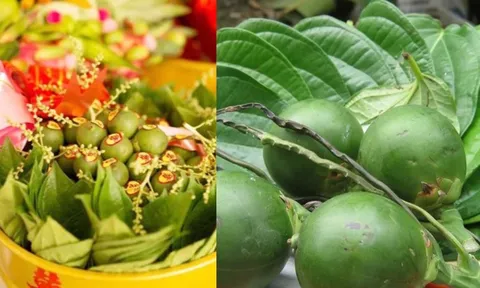 Thắp hương trầu cau xong đừng bỏ đi, dùng trầu cau cách này Làm Đẹp Da trắng sạch mụn