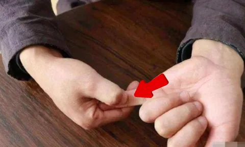 Tổ Tiên nói: ‘Ngón tay út vượt qua 3 tầng, về già chẳng lo cơm ăn áo mặc’, 3 tầng đó là gì?