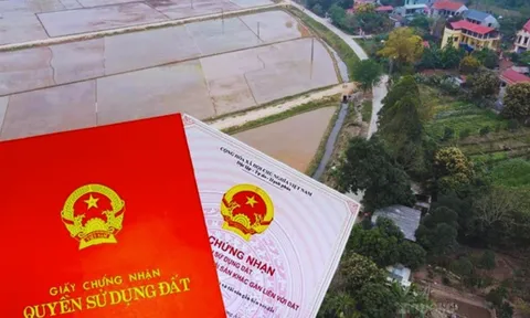 3 trường hợp làm sổ đỏ chỉ mất 100.000 đồng theo quy định mới nhất: Ai không biết chỉ thiệt