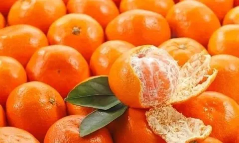 4 loại trái cây được chuyên gia khuyên dùng để hỗ trợ làm sạch phổi, chữa ho và cải thiện hô hấp