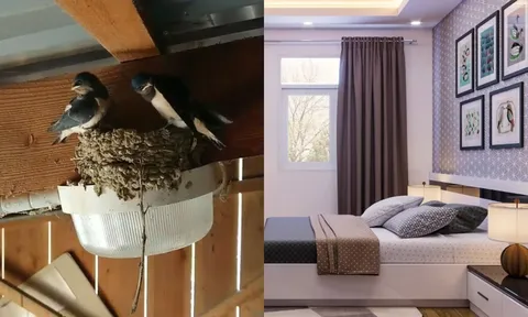 5 hiện tượng báo tin trúng lộc trời, nhà sắp đón tiền tài ùn ùn kéo đến