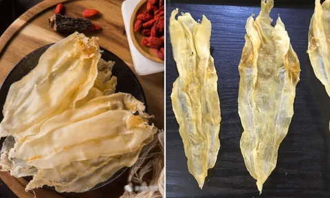 Bộ phận này của con cá bổ ngang tổ yến, nhân sâm: Từng bị coi là phụ phẩm bỏ đi, giờ bán vài triệu/kg
