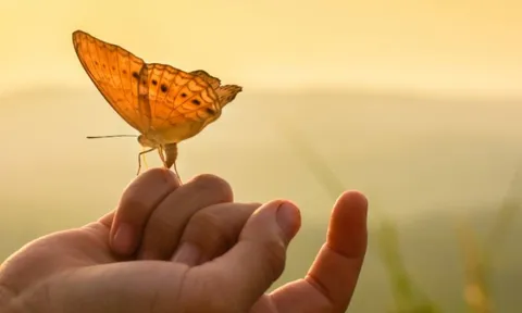 Cổ nhân dạy: 2 việc không nên đợi và 2 thứ không nên sợ hãi trong đời ai cũng cần biết