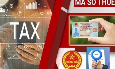 Kể từ 1/7/2025: Số định danh cá nhân thay cho mã số thuế đối với hộ gia đình, hộ kinh doanh và cá nhân