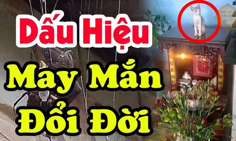 Tổ tiên báo mộng: Nhà có 4 thứ này gia chủ sắp Trúng Số đổi đời, tiền vào như nước