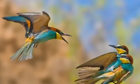 Người sinh vào 3 tháng Âm lịch này, tuổi trẻ gian nan, nhưng trung niên tài lộc ào ào đổ về