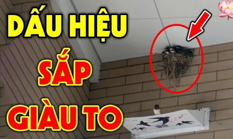 Tổ Tiên nói: 'Mở cửa thấy ngay 3 thứ là Điềm Lành, con cháu đời đời giàu có', đó là gì?