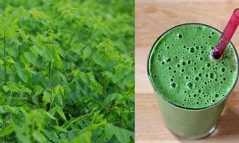 5 công dụng vượt trội của nước ép rau ngót khiến chị em sốt sình sịch