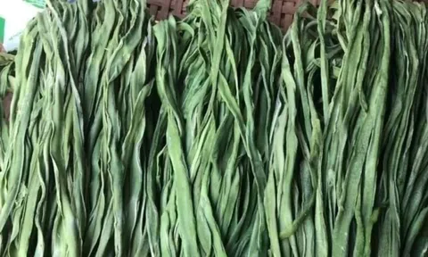 Cả chợ có một loại rau đắt hơn thịt, bổ ngang tổ yến, Việt Nam nhiều mà ít người biết đến