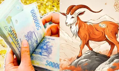 15 ngày liên tiếp (11-25/6): 4 con giáp giẫm lên tiền thành ông hoàng thịnh vượng, no nê tài lộc