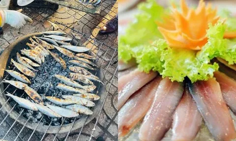 Loại cá này đầy chợ Việt, giá rẻ bằng 1/5 cá hồi nhưng cũng giàu omega, lại ít lo ngậm thủy ngân